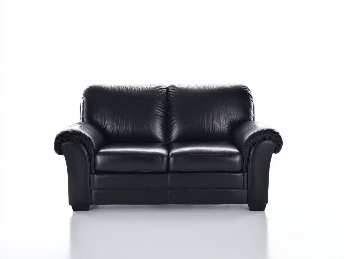 Canapé 2 places - similicuir - 171 x 96 x 91 cm - noir - style classique confortable